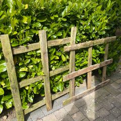 Free to go: wood