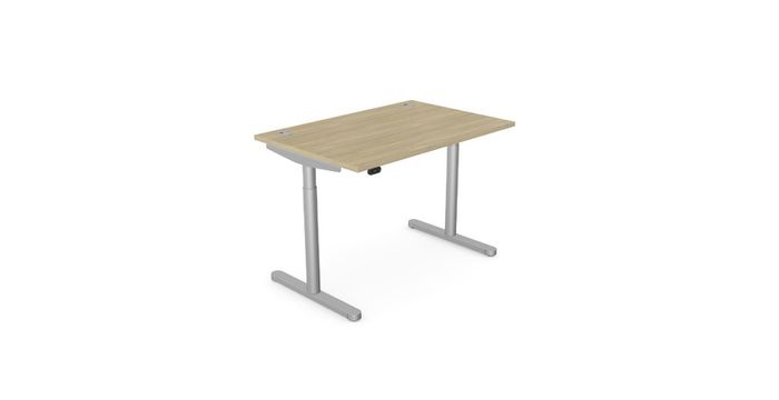 RoundE Electric Hight Adjustable Desk 1600 x 700