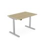 RoundE Electric Hight Adjustable Desk 1600 x 700 Image 5