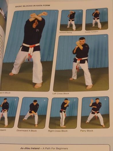 Ju-Jitsu A Path For Beginners