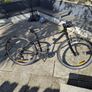 Frog Bike Image 5