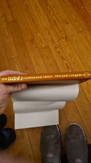 The Irish. A Personal View. By Tim Pat Coogan. First Edition Hardback Complete With Dustjacket In Very Good Condition. 32.