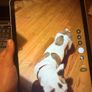 iPad 10th Gen Image 2