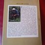 Simpson's Flora of Suffolk / Francis W. Simpson / 1st edition/ 1982 Image 2