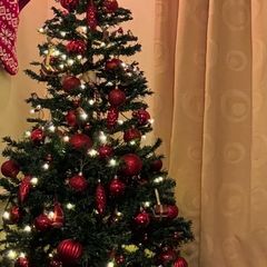 Christmas tree+ red decorations and fairy lights