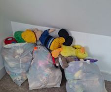 3 bags of teddys