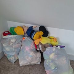 3 bags of teddys