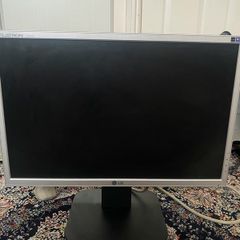 LG Flatron LCD Monitor - L192WS-SN - (19" )