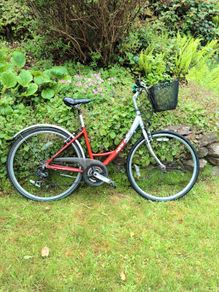 ladies bike