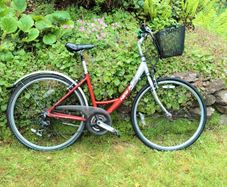 ladies bike