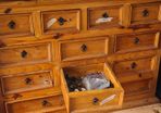 chest of drawers