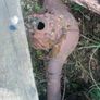 Trailer axle Image 3