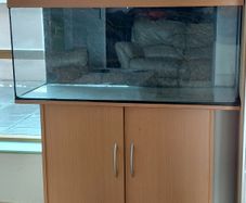 Juwel 196 litre Aquarium-Fish Tank