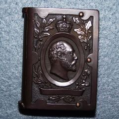 Vulcanite Vesta Case