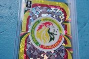 Senegal Football World Cup Crest Panini Card