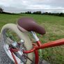 Custom cruiser bike build Image 6
