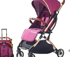 lightweight buggy great for plane