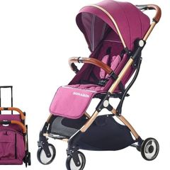 lightweight buggy great for plane
