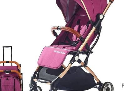 lightweight buggy great for plane