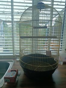 Bird Cage