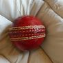 cricket ball Image 3