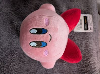 Kirby Teddy