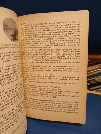 Cooke and Scanlon's Guide to Cork