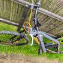 Boss bike Image 5