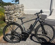 Bergamont E-Bike