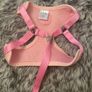 Small Dog Harness and Lead Set Image 4