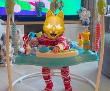 Jumperoo