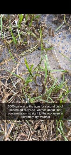 Slurry Separation