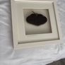 Engagement Gift Tying the Knot Framed Photo Image 2