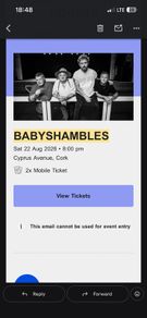 Babyshambles in Cyprus Avenue
