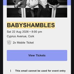 Babyshambles in Cyprus Avenue