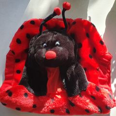 Ladybird Halloween Outfit (18 - 30 month old/2 year old)