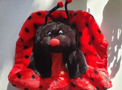 Ladybird Halloween Outfit (18 - 30 month old/2 year old)