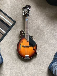 mandolin