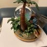 Disney Musical Stitch & Angel Snow Globe Image 2