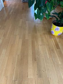 Beech Flooring 55 sq mts