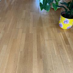 Beech Flooring 55 sq mts