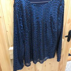 Sparkly long sleeved top