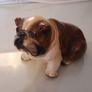 Bulldog Ornament/British Bulldog Image 2