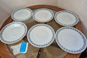 Vintage JAJ Pyrex Chelsea 10-Inch Dinner Plates Set (6 Pcs) with Original Box