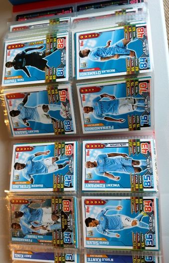 Match Attax 15/16 in Binder.  (Other seasons also)