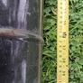 5 inch 1 meter Flu Pipe with 1 elbow Bend for sale Image 2