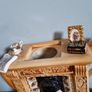 Rare Collectible   Royal Albert 'Old Country Roses' Large Classic Fireplace  Teapot by Cardew Design Image 6