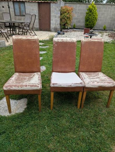Dining Chairs