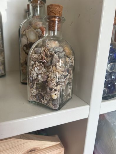 Sea shells in bottles