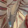 maxi dress Image 3